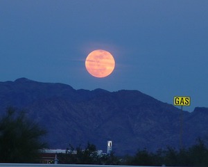 Harvest Moon