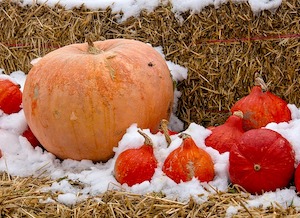 snow-pumpkin