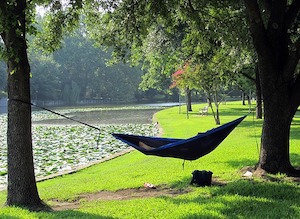 hammock