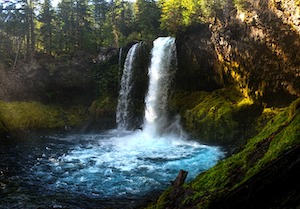 forest-pool