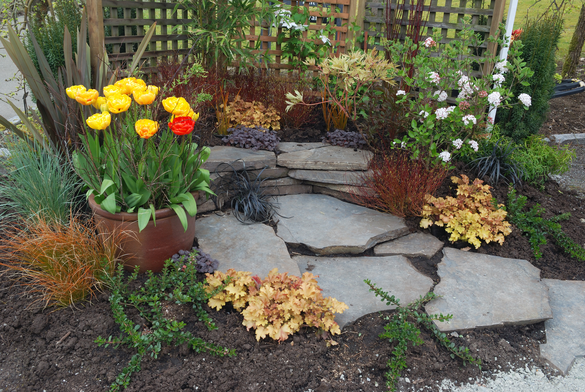 Rock garden with small space patio. 