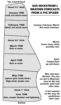 pig spleen weather prediction chart