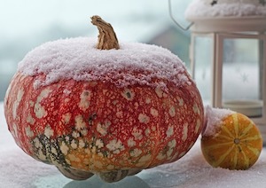 pumpkin-frost