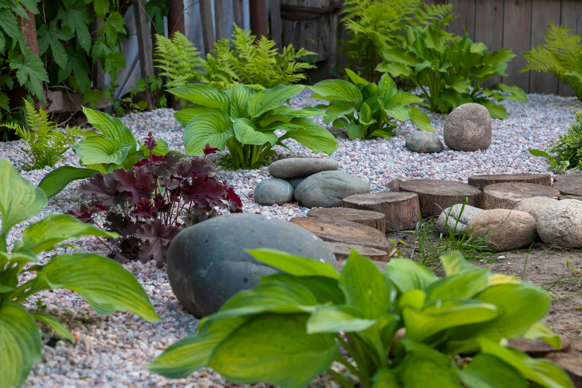 shade garden with pebbles, bounders, and hostas