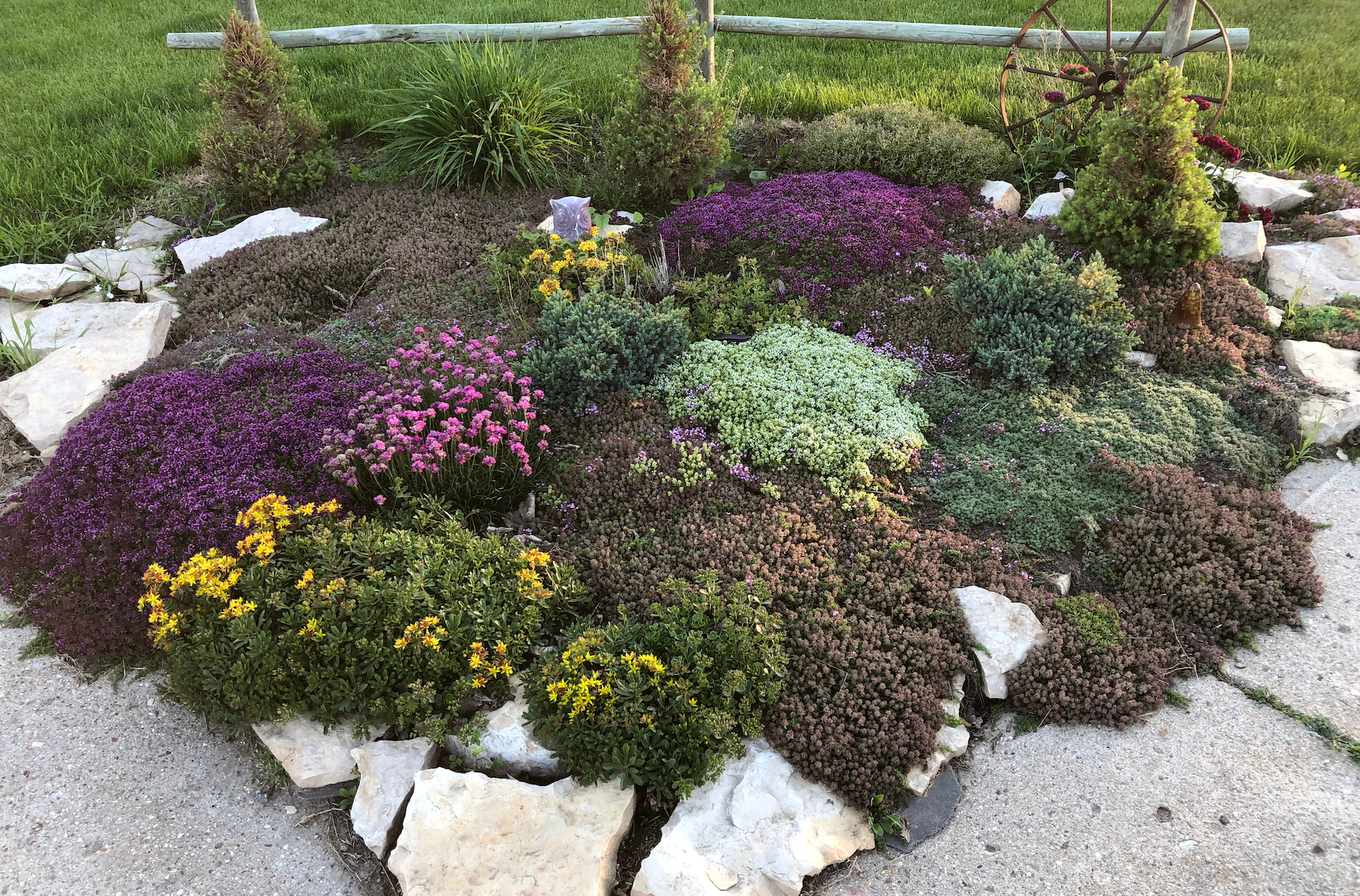 Corner rock garden with colorful groundcover