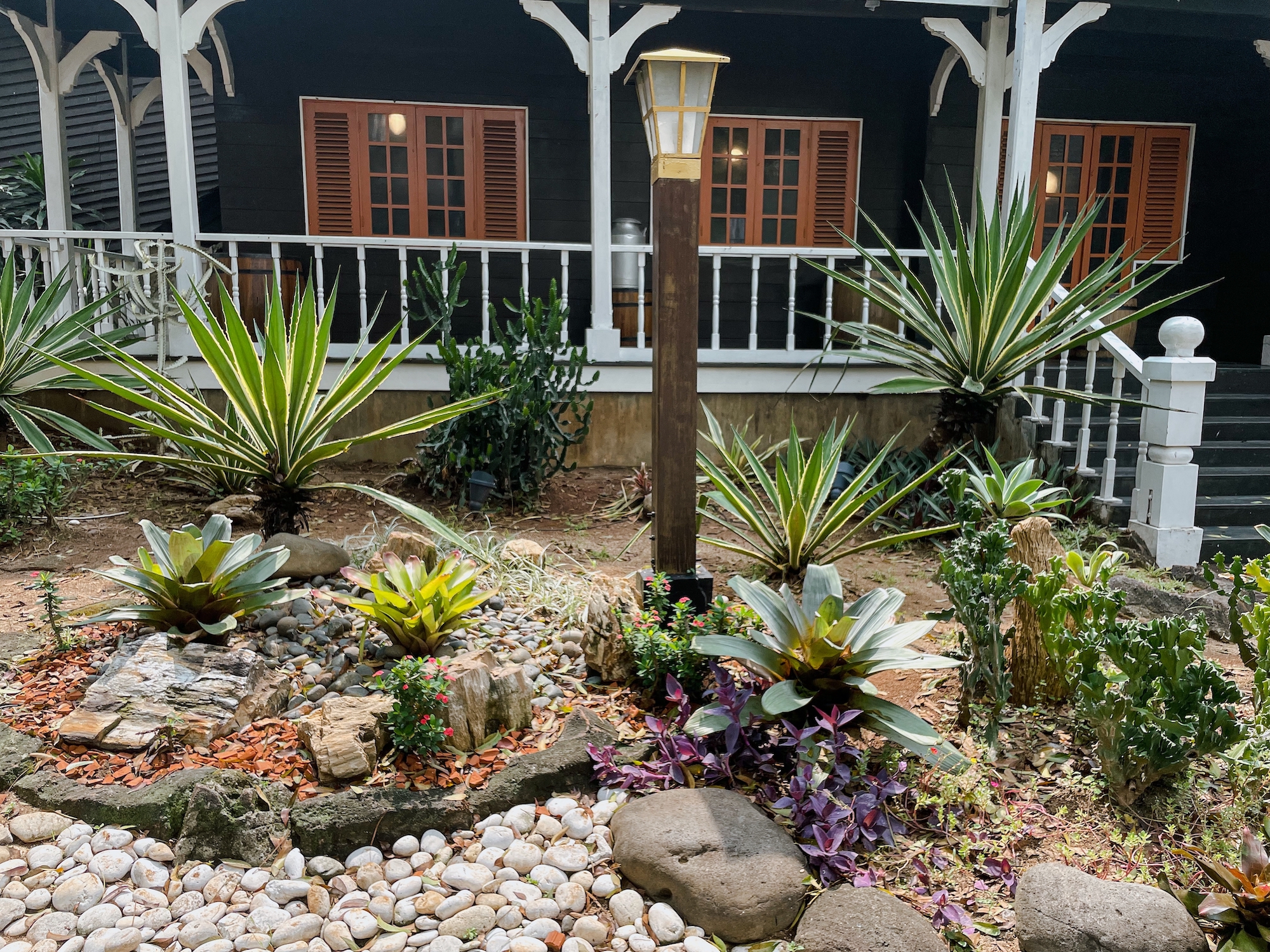 Rock and dry plant garden in front of the house