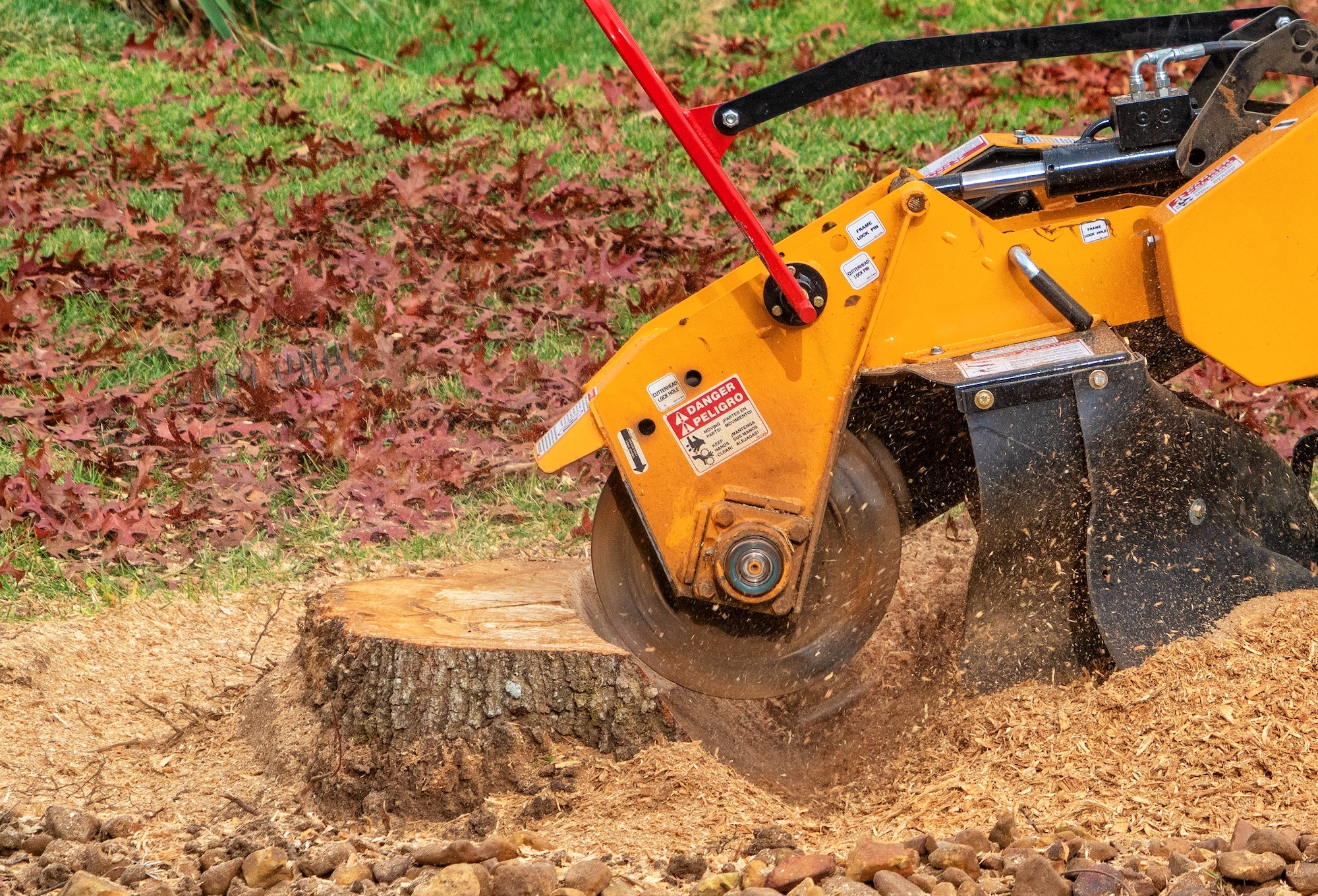 Stump Grinding A Tree Trunk 