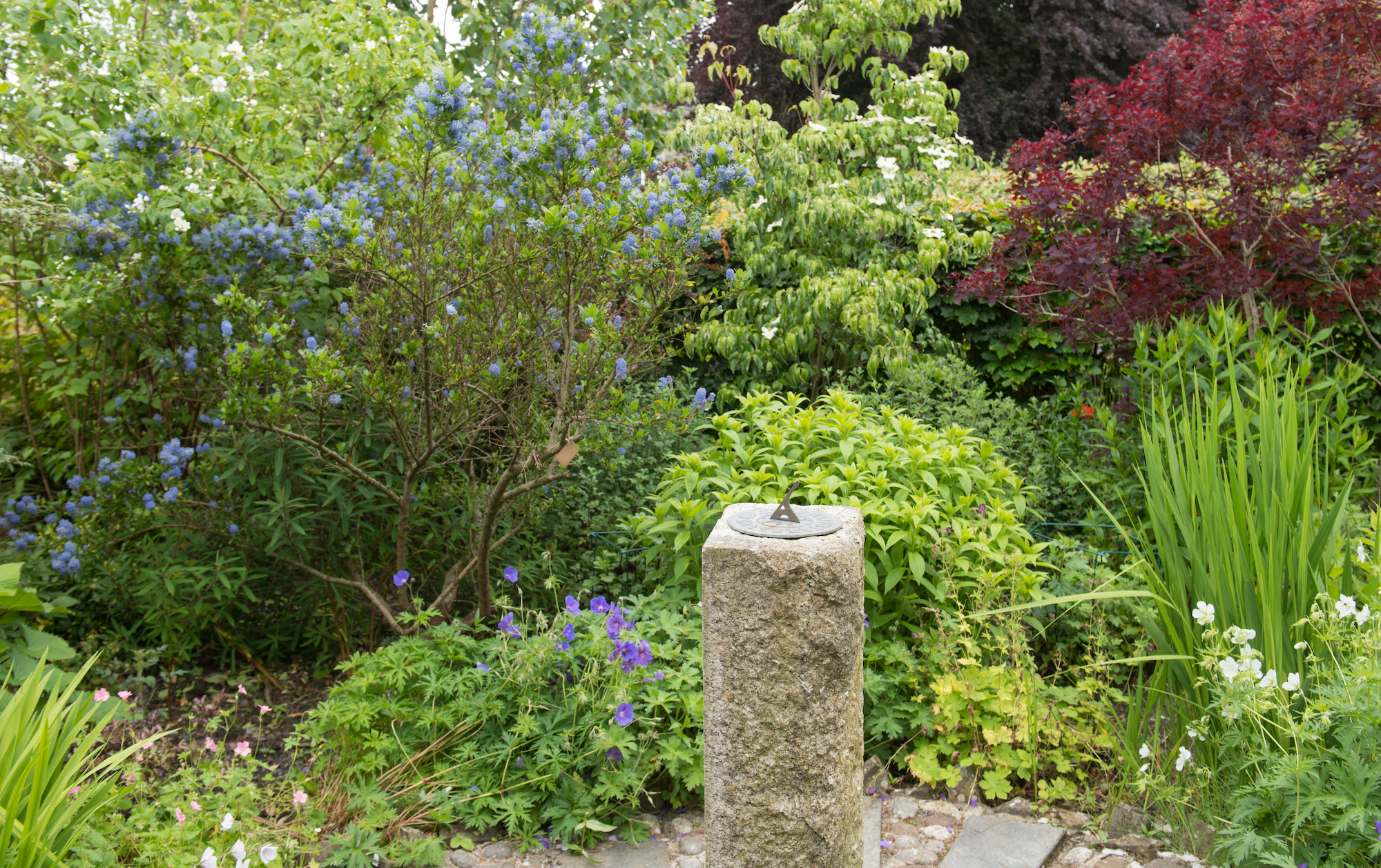 Sundial in a country cottage garden