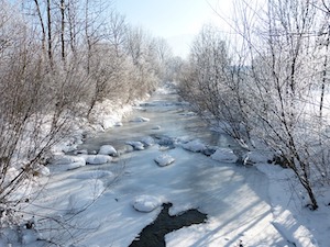 frozen brook