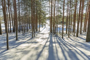 winter-stillness