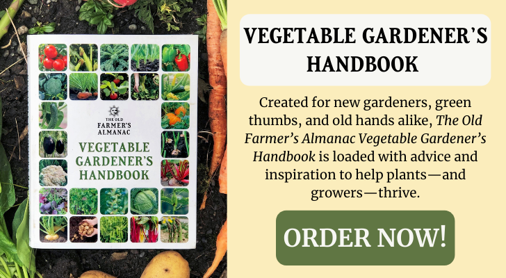 vegetable_gardeners_handbook_spring_ad.png