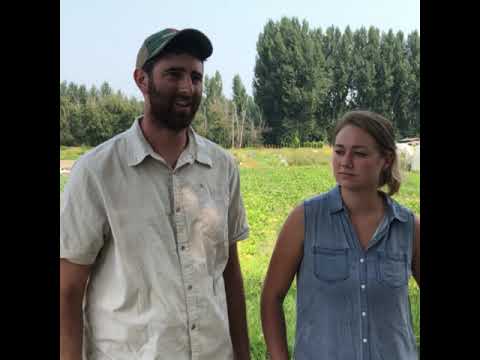 National Farmer's Day: Lettuce Love Farm | Almanac.com